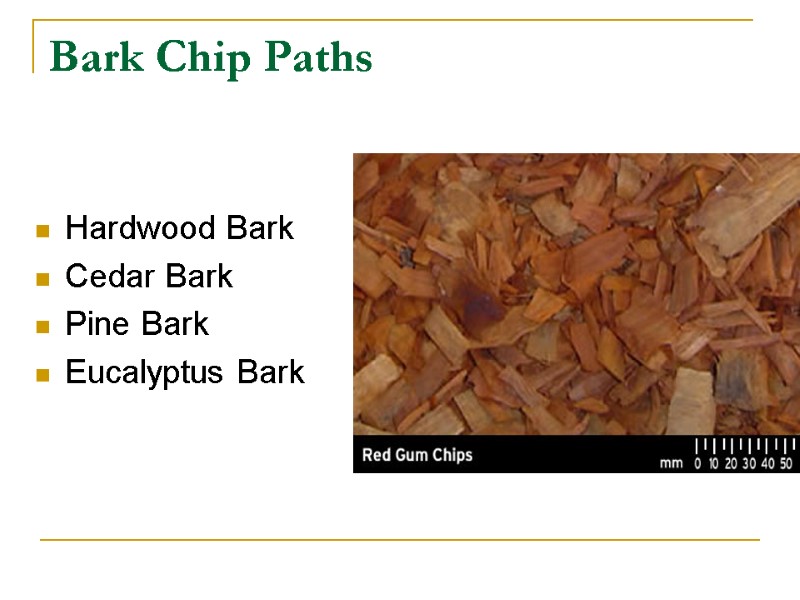 Bark Chip Paths   Hardwood Bark Cedar Bark Pine Bark Eucalyptus Bark